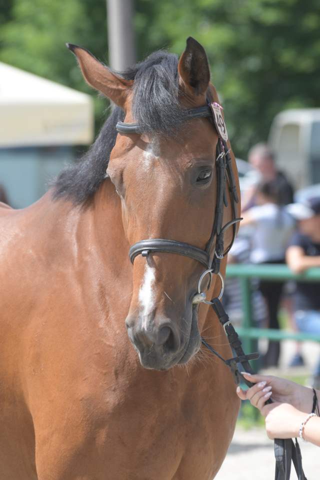 DSC_7089